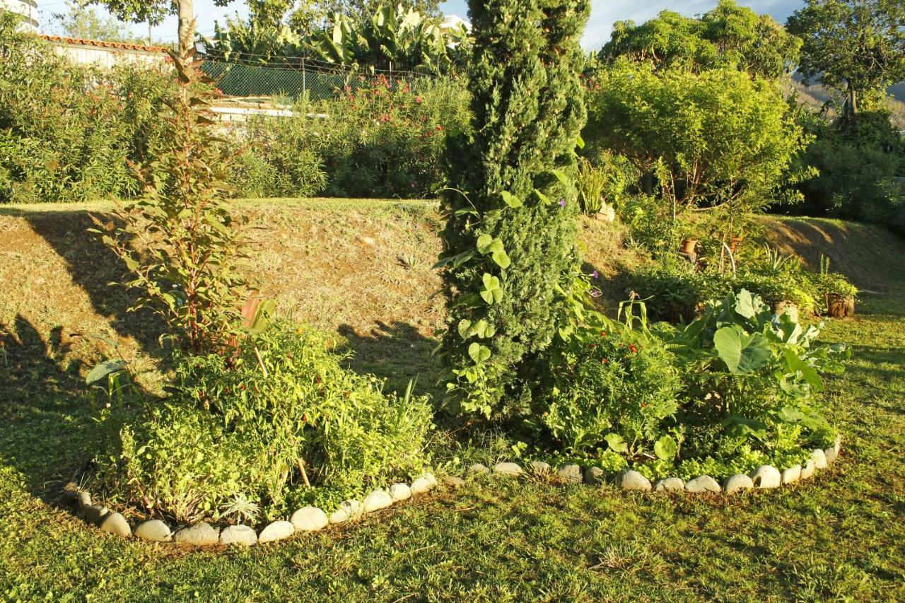 Rochas Shared Apart Garden Refuge Funchal  Luaran gambar
