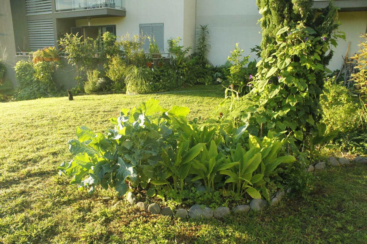 Rochas Shared Apart Garden Refuge Apartment Funchal  Luaran gambar