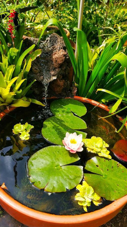 Rochas Shared Apart Garden Refuge Funchal  Luaran gambar